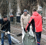 Город и горожане. Молодые жильцы с  улицы Мира, 2  навели порядок у дома - Администрация г. Курчатов