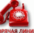ГОРЯЧАЯ ЛИНИЯ по вопросам вакцинопрофилактики - Администрация г. Курчатов