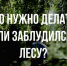Азбука безопасности. ЧТО ДЕЛАТЬ, ЕСЛИ ВЫ ЗАБЛУДИЛИСЬ В ЛЕСУ - Администрация г. Курчатов