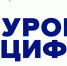 Всероссийский образовательный проект  в сфере информационных технологий «Урок цифры» - Администрация г. Курчатов