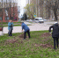 Субботник — время обновления - Администрация г. Курчатов