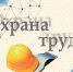 Об итогах проведения конкурса на лучшее состояние   охраны и условий труда среди предприятий, организаций и учреждений города Курчатова. - Администрация МО Курчатов