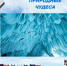 Природные чудеса: факты и легенды. - Администрация МО Курчатов