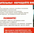 Информационно-просветительские мероприятия. - Администрация МО Курчатов