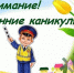 «Безопасные весенние каникулы». - Администрация МО Курчатов