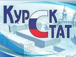 О дошкольном образовании в Курской области в 2025 году.