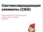 Световозвращающие элементы (СВЭ).